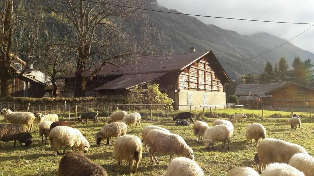 Village des Bois à Chamonix